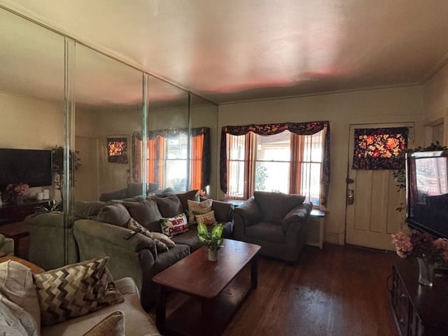 living room with dark wood-style flooring