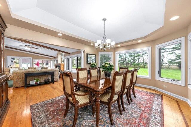 dining area featuring a raised ceiling and a wealth of natural light