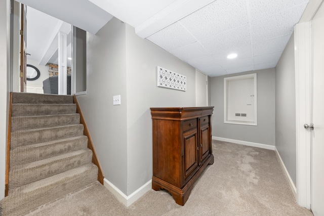 stairway featuring carpet floors, baseboards, a drop ceiling, and visible vents