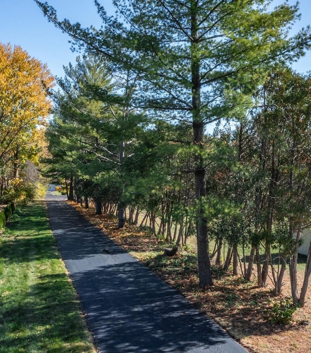 view of road