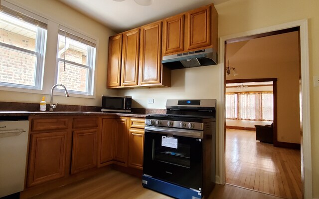4627 W Schubert Ave, Chicago, IL 60639 - kitchen featuring plenty of natural light, under cabinet range hood, a sink, and stainless steel appliances