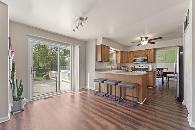 22315 W Terry Dr N, Lake Villa, IL 60046 - kitchen featuring appliances with stainless steel finishes, a peninsula, brown cabinets, and dark wood-style flooring