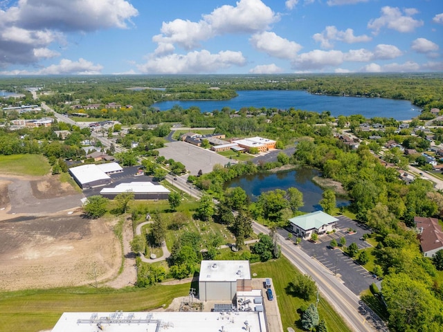 22315 W Terry Dr N, Lake Villa, IL 60046 - bird's eye view of a large body of water