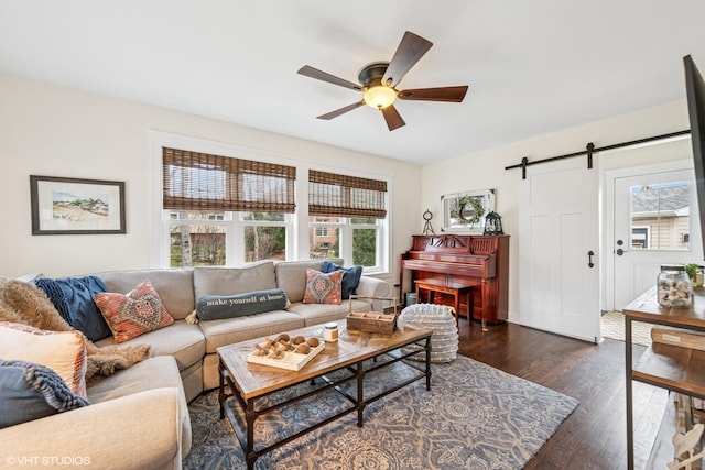living room with dark wood-type flooring, a barn door, and a ceiling fan