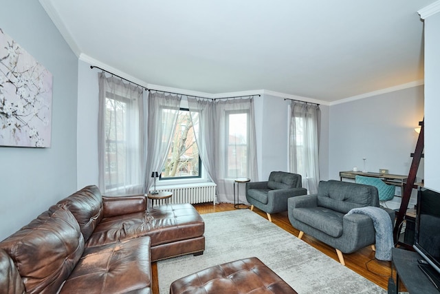 living room featuring a healthy amount of sunlight, wood finished floors, and radiator heating unit
