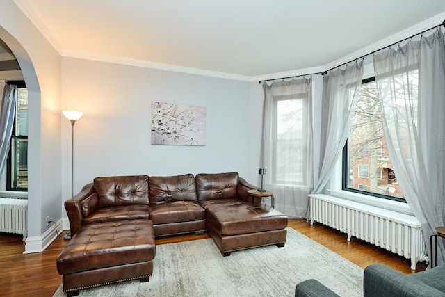 living room with radiator, wood finished floors, crown molding, and arched walkways