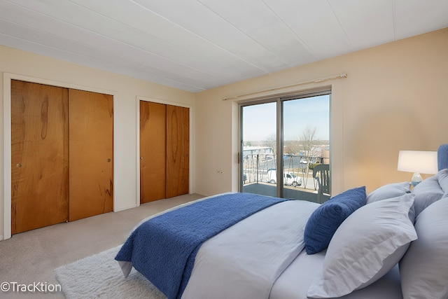 5300 Walnut Ave Unit 7C, Downers Grove, IL 60515 - bedroom featuring access to outside, carpet flooring, and multiple closets