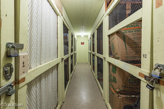5300 Walnut Ave Unit 7C, Downers Grove, IL 60515 - view of storage