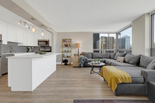 living area featuring light wood-type flooring, a view of city, and a textured ceiling