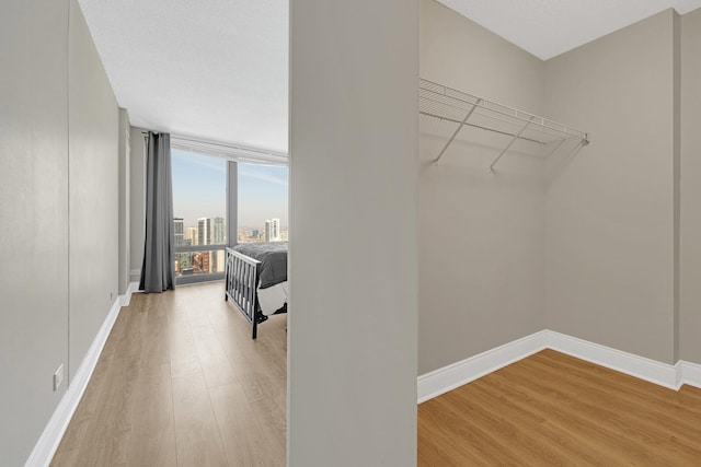 walk in closet with light wood-type flooring