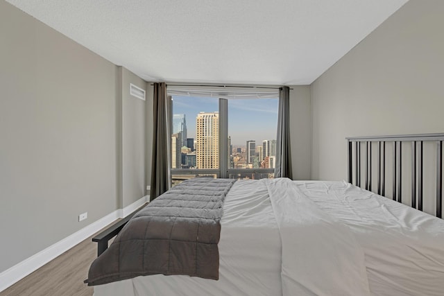 bedroom featuring wood finished floors, baseboards, and a view of skyline