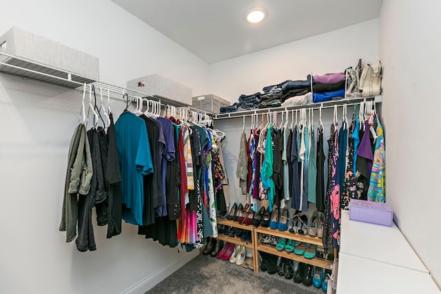 spacious closet with carpet