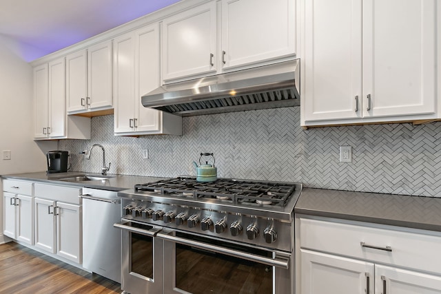 kitchen featuring a sink, under cabinet range hood, stainless steel appliances, dark countertops, and decorative backsplash