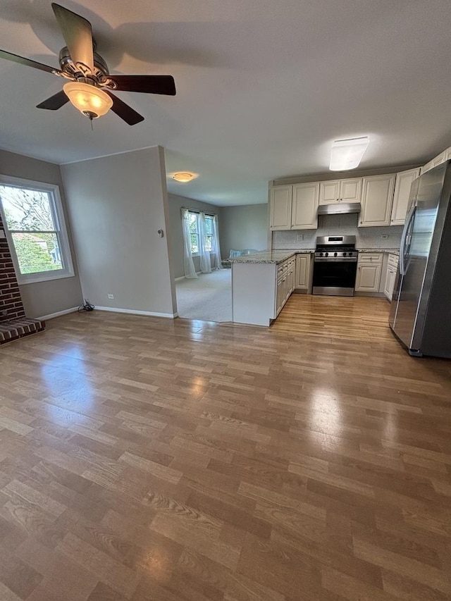 kitchen with under cabinet range hood, appliances with stainless steel finishes, light stone countertops, and light wood-style floors