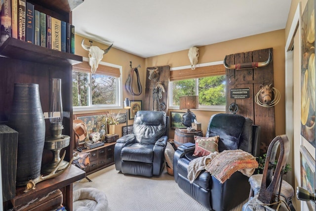 view of carpeted living area