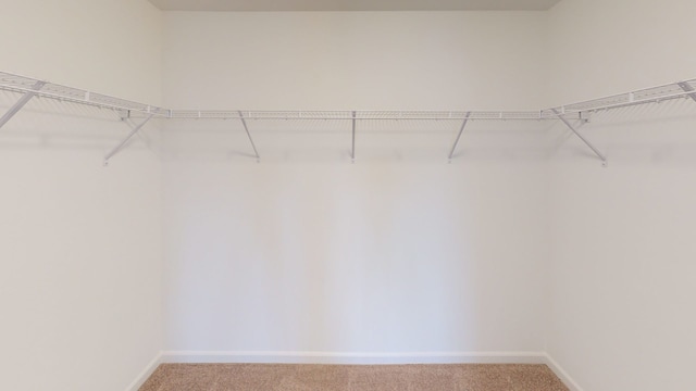 walk in closet with light colored carpet