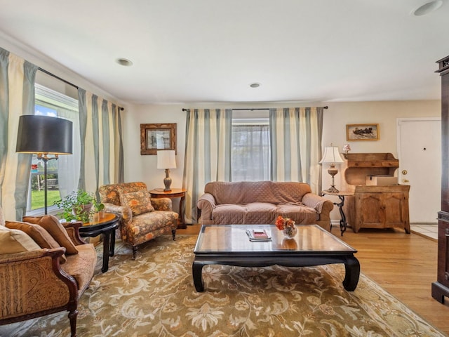201 41st St, Downers Grove, IL 60515 - living room featuring light wood-type flooring