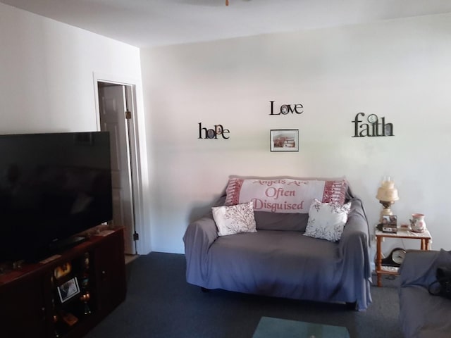 250 Peru St, Paw Paw, IL 61353 - photo 14