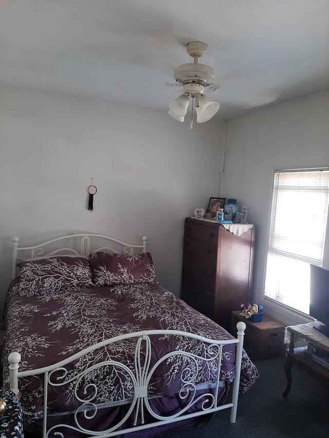 250 Peru St, Paw Paw, IL 61353 - photo 16