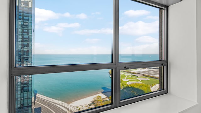 474 N Lake Shore Dr Unit 4105, Chicago, IL 60611 - water view