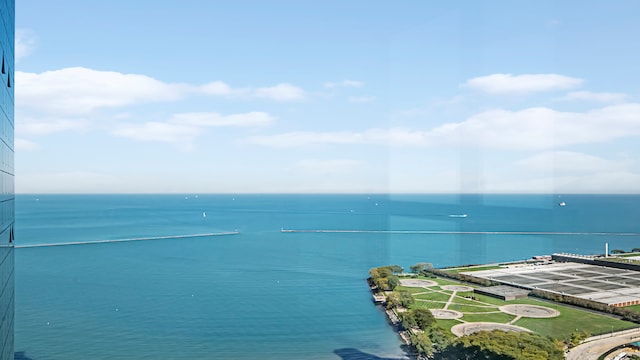 474 N Lake Shore Dr Unit 4105, Chicago, IL 60611 - water view