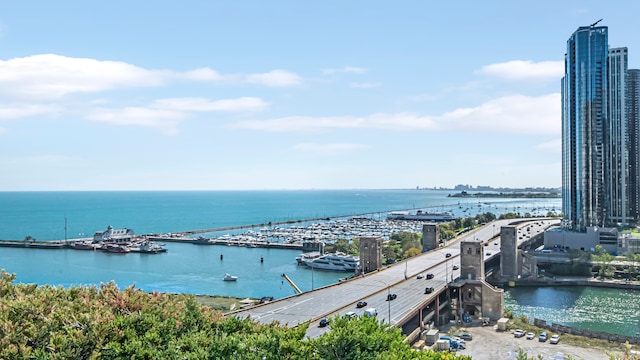 474 N Lake Shore Dr Unit 4105, Chicago, IL 60611 - water view