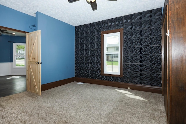 114 W Columbia St, Danvers, IL 61732 - unfurnished room with ceiling fan, carpet, and a textured ceiling