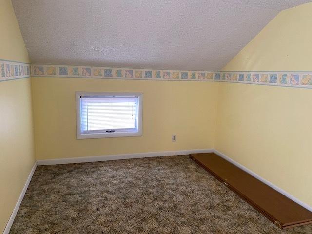 unfurnished room featuring baseboards, a textured ceiling, vaulted ceiling, and carpet
