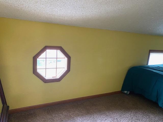 unfurnished bedroom featuring baseboards, carpet, and a textured ceiling