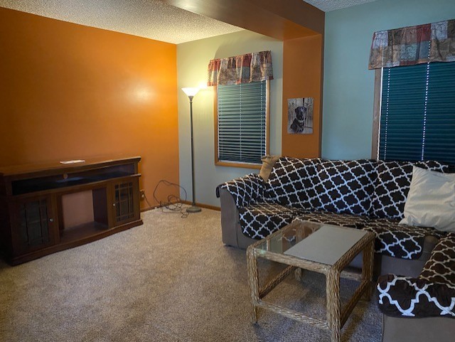living area featuring carpet flooring and a textured ceiling