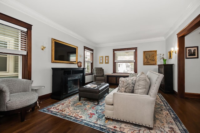 1130 Paulina St, Oak Park, IL 60302 - living room featuring a glass covered fireplace, dark wood-type flooring, baseboards, and ornamental molding