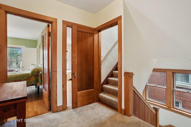 stairway with carpet flooring