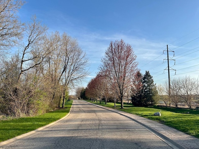 view of street featuring curbs