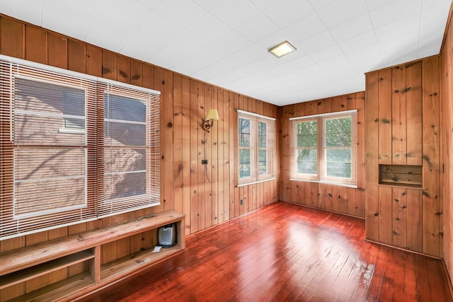 interior space featuring wooden walls and hardwood / wood-style flooring