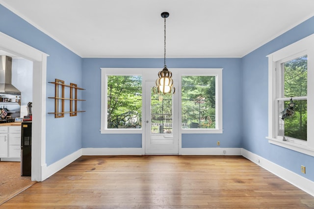 unfurnished dining area with baseboards and light wood-type flooring