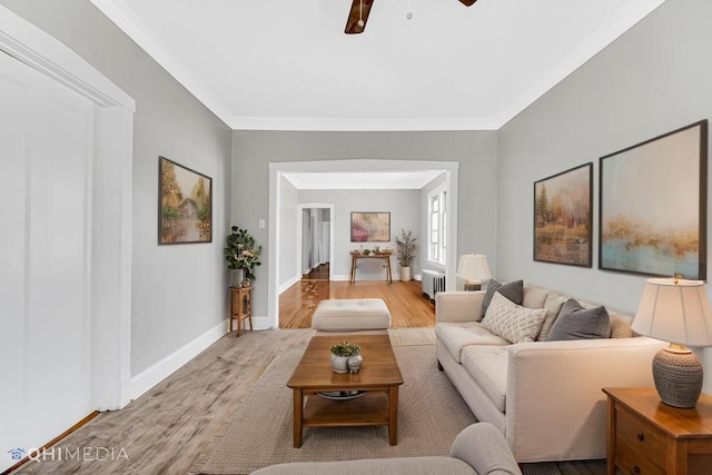 living area featuring ceiling fan, radiator, baseboards, wood finished floors, and ornamental molding