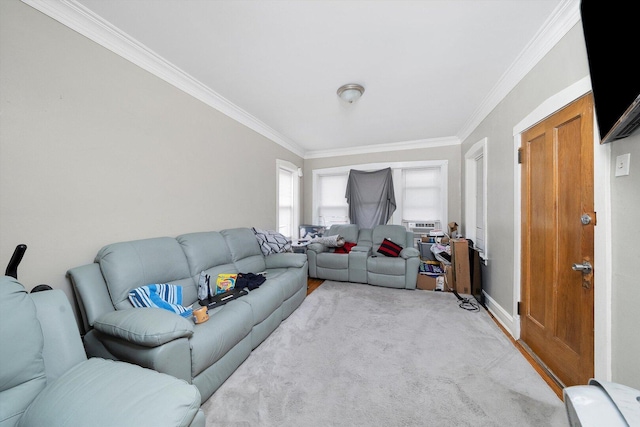 living area featuring crown molding and baseboards