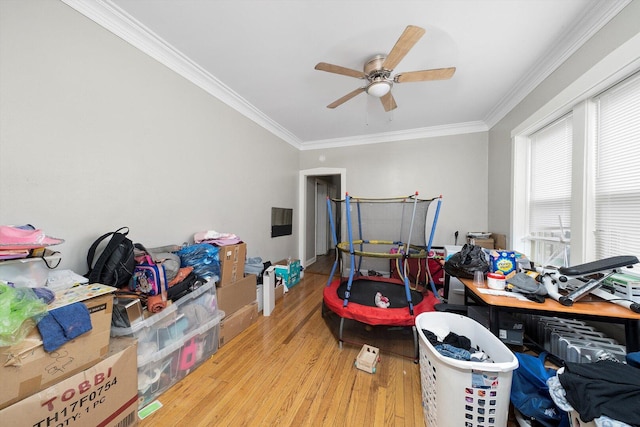 interior space featuring crown molding, ceiling fan, and wood finished floors