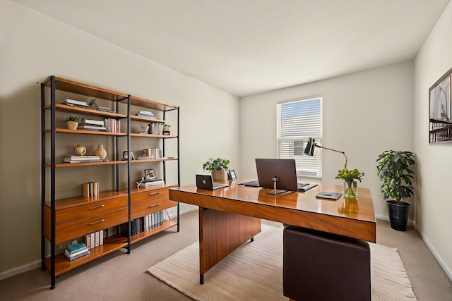 1045 Crane Pt, Elgin, IL 60124 - carpeted office space featuring baseboards