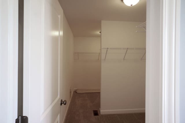 walk in closet with visible vents and carpet floors