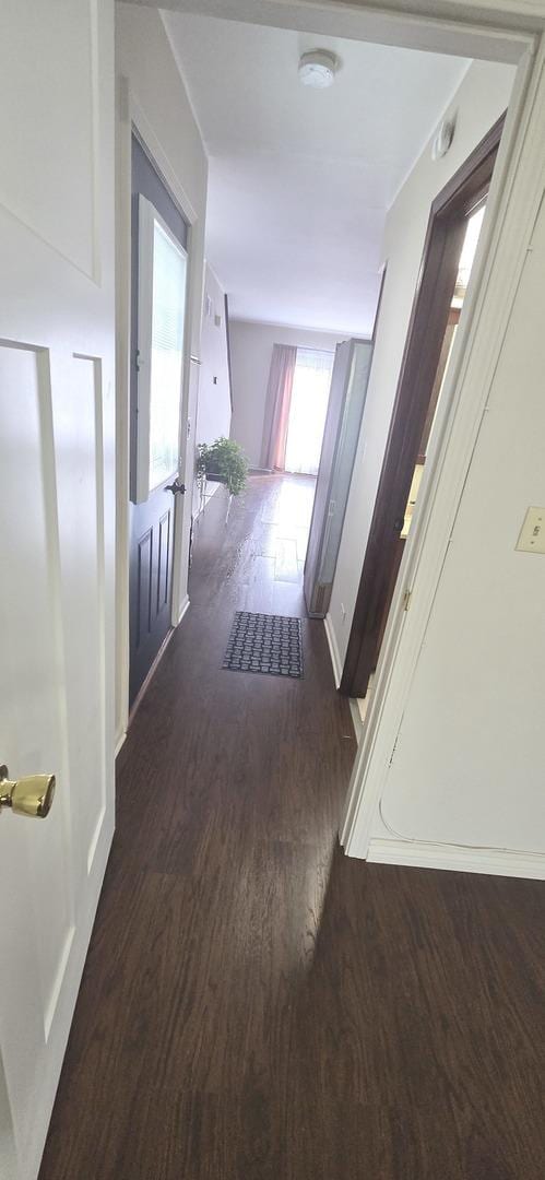 hallway with baseboards and wood finished floors