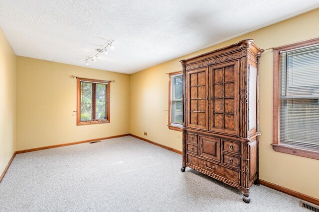 7733 Suburban Ln, Bridgeview, IL 60455 - carpeted empty room with rail lighting and a textured ceiling