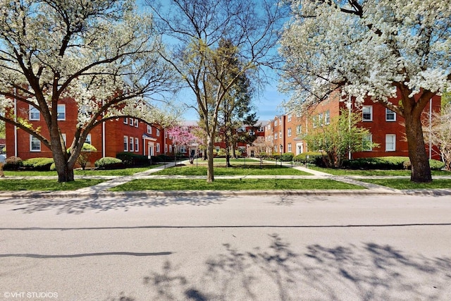 502 Bonnie Brae Pl Unit C2, River Forest, IL 60305 - view of road with a residential view, sidewalks, and curbs