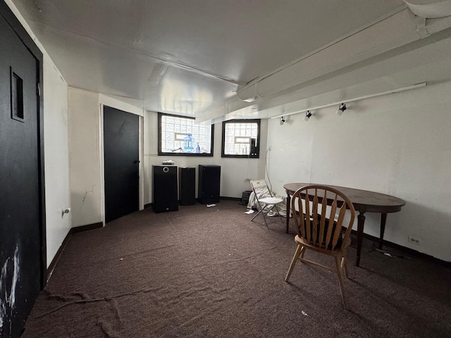 living area featuring carpet floors