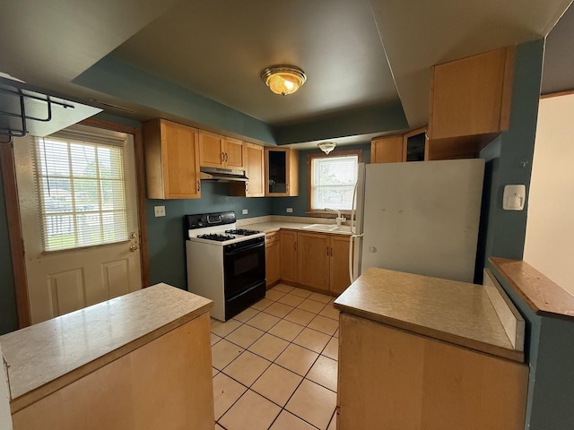 9749 S Oak Park Ave, Oak Lawn, IL 60453 - photo 6