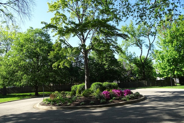 945 E Kenilworth Ave Unit 429, Palatine, IL 60074 - view of asphalt street with curbs