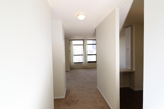 945 E Kenilworth Ave Unit 429, Palatine, IL 60074 - hall with carpet floors and baseboards