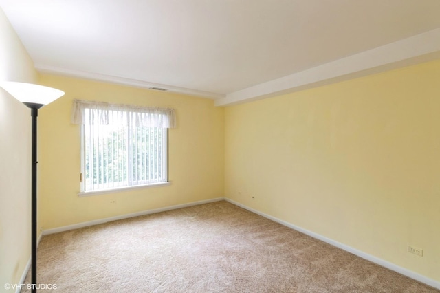 945 E Kenilworth Ave Unit 429, Palatine, IL 60074 - carpeted empty room with baseboards