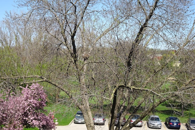 945 E Kenilworth Ave Unit 429, Palatine, IL 60074 - view of asphalt street with curbs
