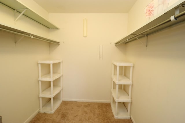 945 E Kenilworth Ave Unit 429, Palatine, IL 60074 - walk in closet featuring carpet floors